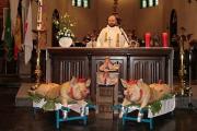 Traditiedrager van de maand: Michel Mervilde viert Sint-Antonius